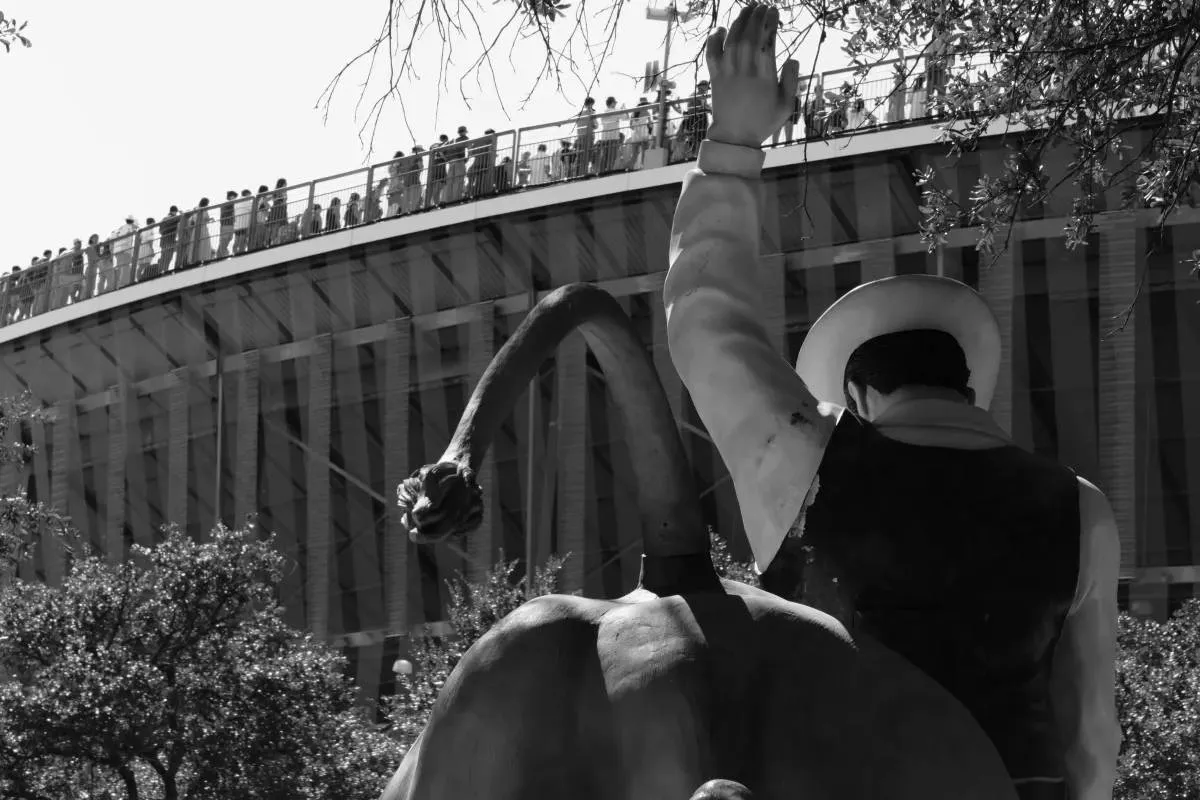 Photograph of the bull in State Fair TX